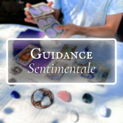 Guidance Sentimentale