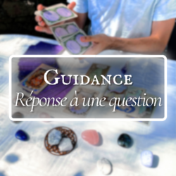 Guidance Réponse à une question