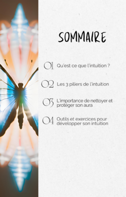 “Développer son intuition” – 2 ebooks + 1 méditation guidée Offerte